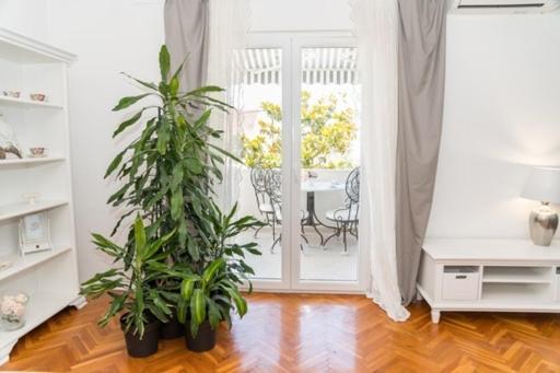 Apartments Doris Zadar Luaran gambar